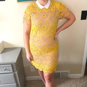 English Factory Lace Shift Dress